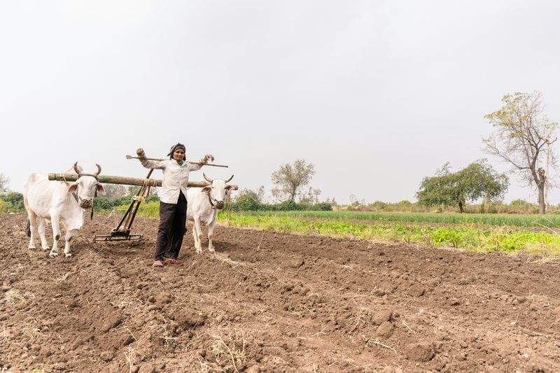 Cómo preparar la finca para cambios de clima